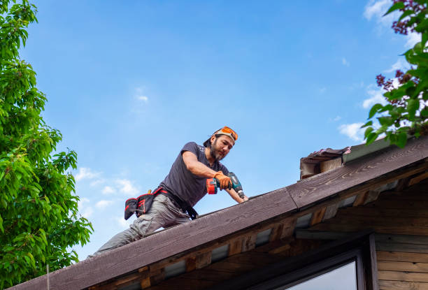 Best Skylight Installation and Repair  in Cheltenham Village, PA